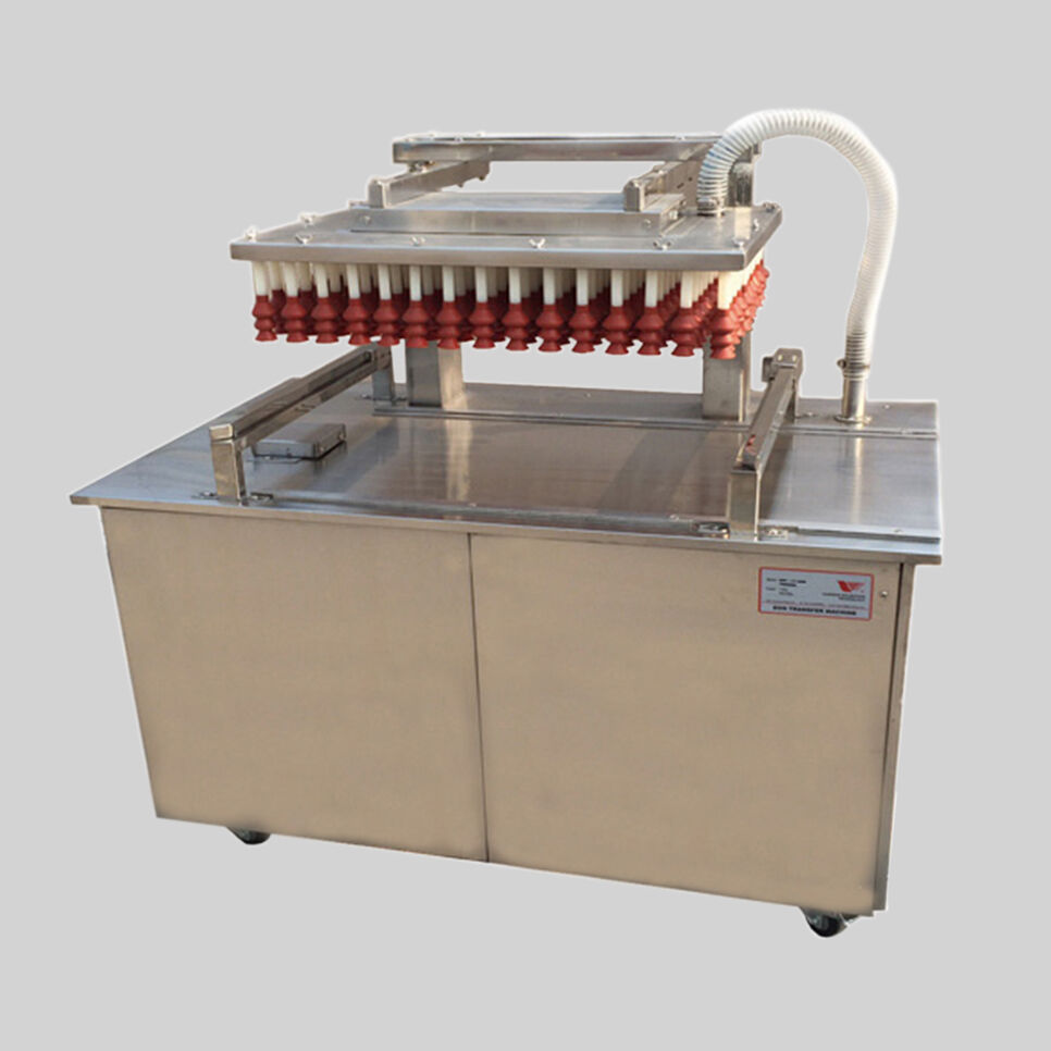 Semi-automatic transfer machine | Egg Candling & Transfer Equipment ...