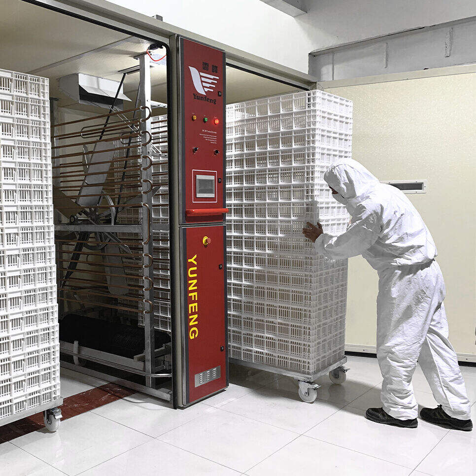 Por que escolher sistemas de incubadoras de ovos automáticas em vez de manuais?