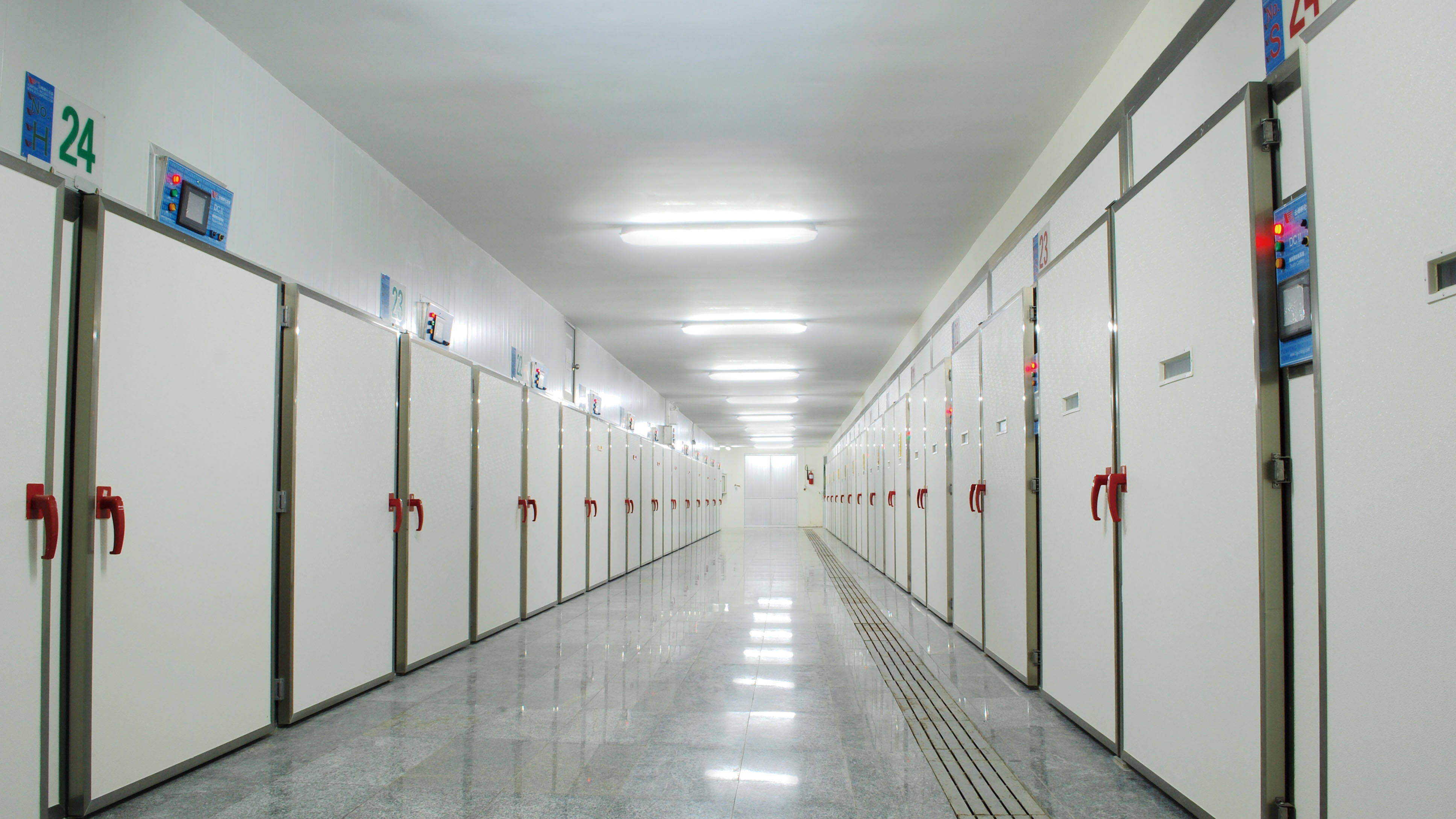 tunnel详情页新图.jpg