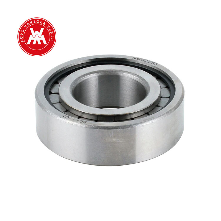 Massey Ferguson Tractor Parts Cylindrical Roller Bearing 191250M1 196098M1