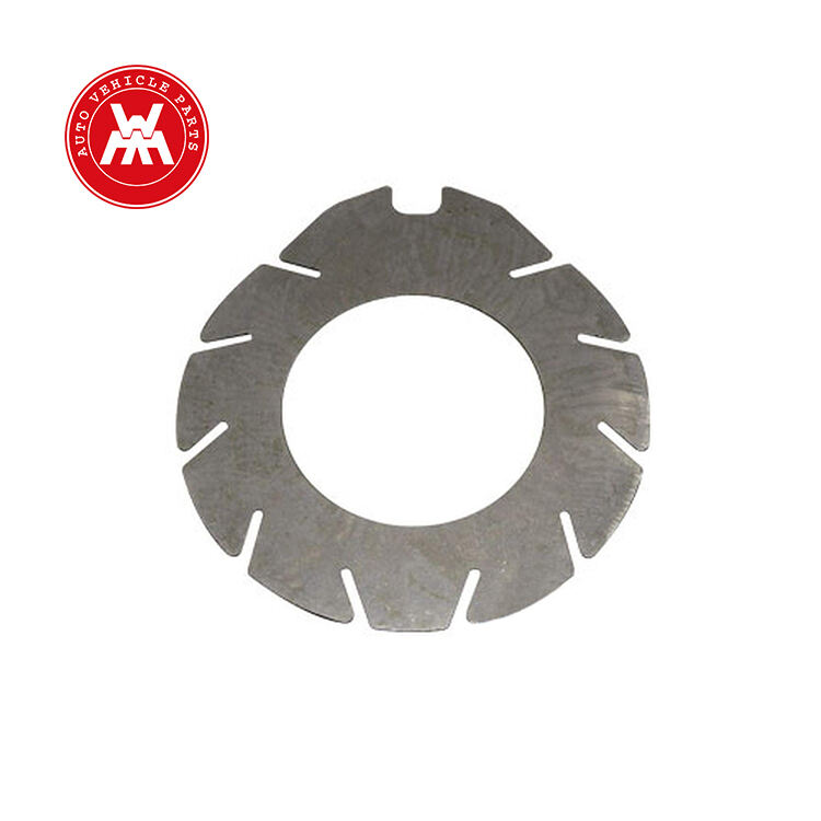Intermediate Brake Disc 1860965M2 for Massey Ferguson Tractor