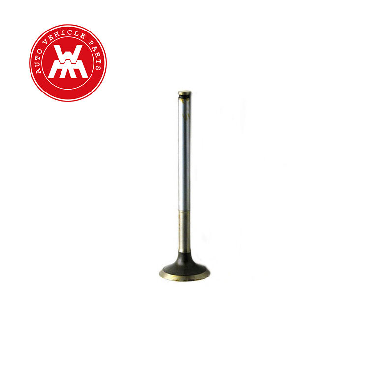 التوافق العالمي