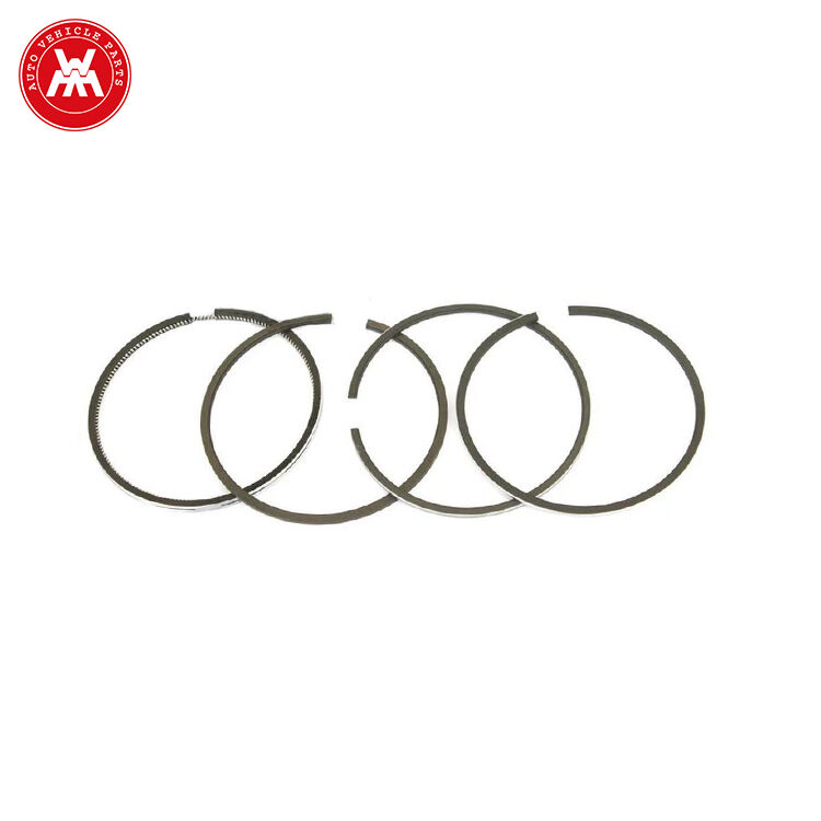 Piston Ring Set 83917464 DJPN6149S for Ford New Holland 10 30 100 1000 2000 3000 5000 Series