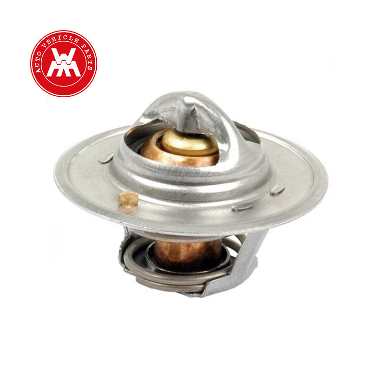Massey Ferguson Tractor Parts Thermostat 1446127M91 1446165M91 1894961M1 2485648 2485659 2485666