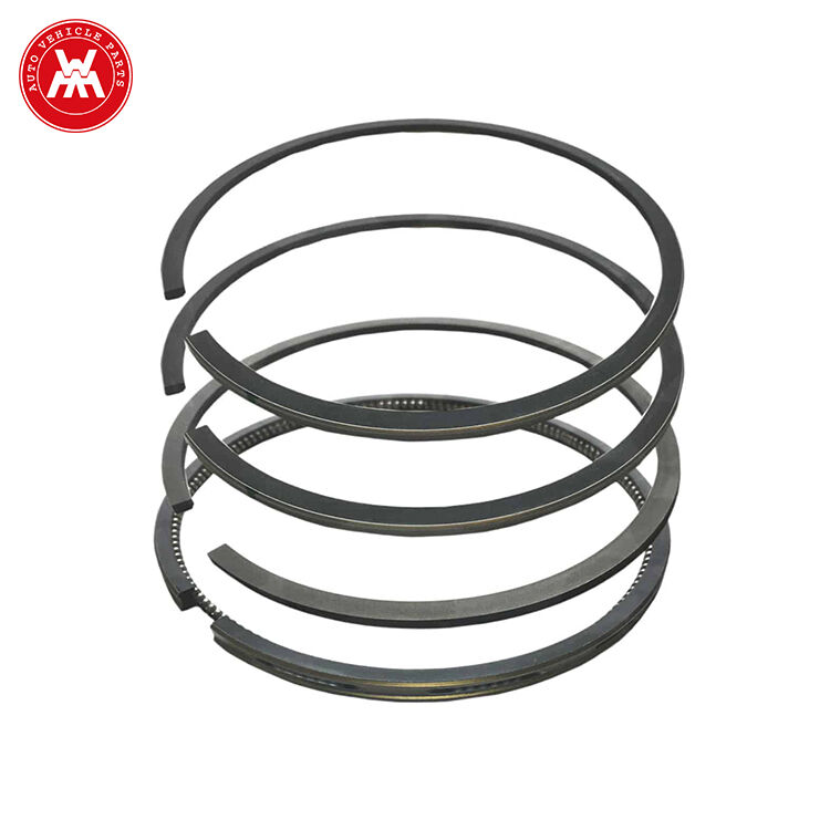 Pistn Ring Set 83917468 DJPN6149 for Ford New Holland 10 30 100 1000 Series