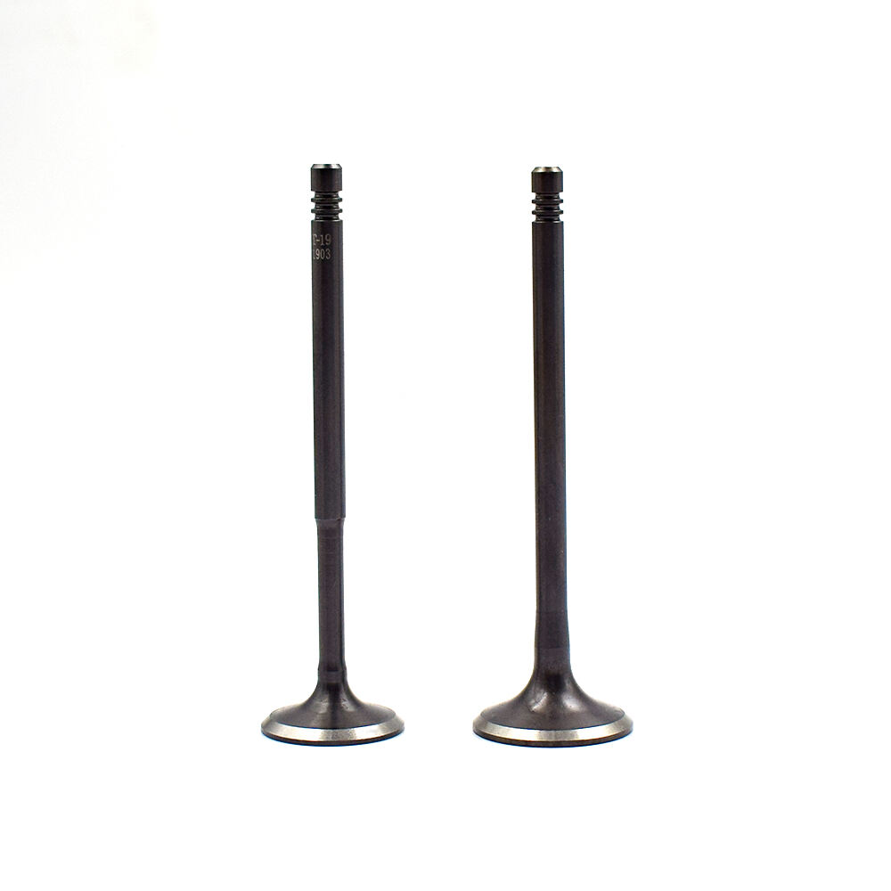 Hot Selling High Quality Intake & Exhaust Valves for Volkswagen B51.8 058109601C 058109611E ANQ