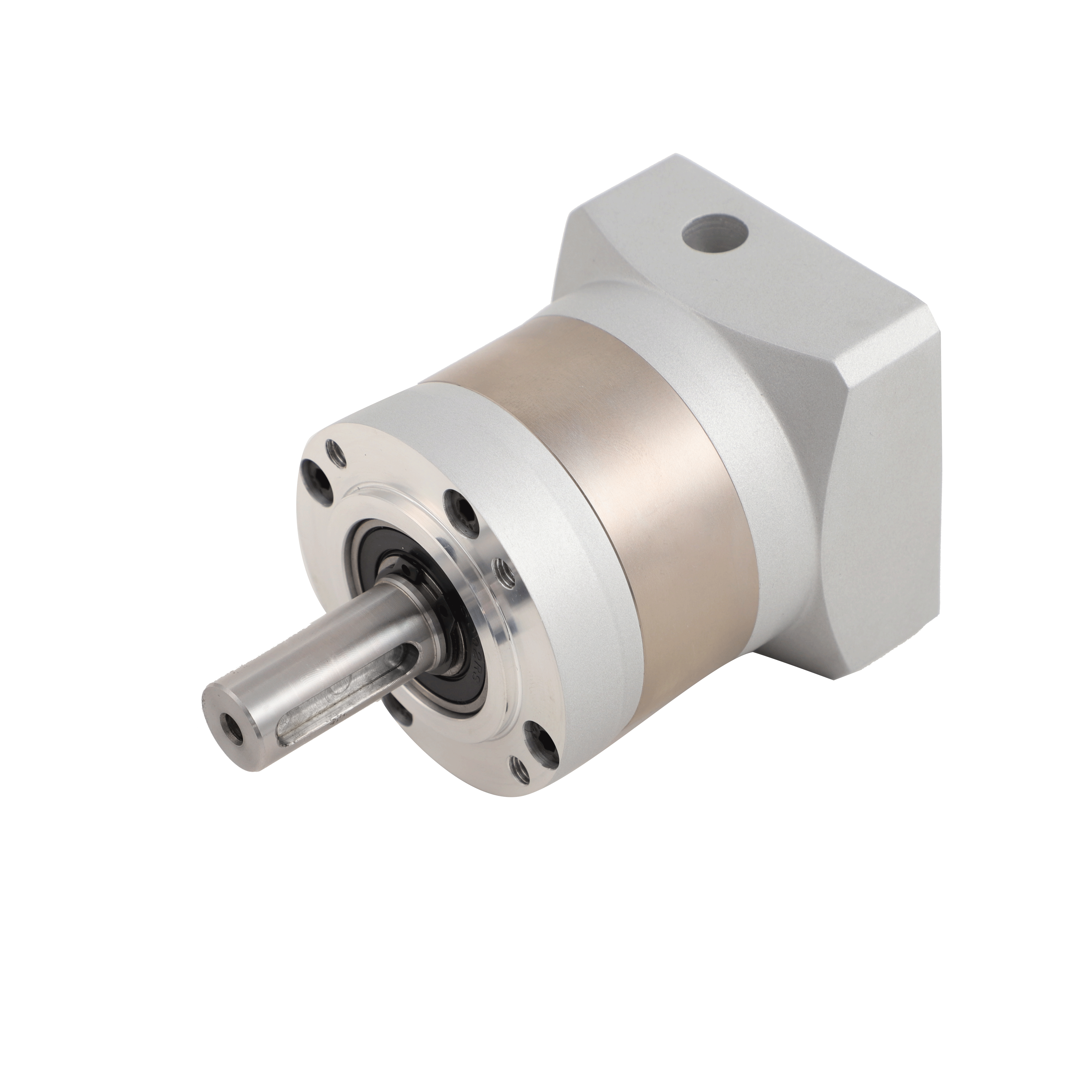 Globale Expertise und Unterstützung