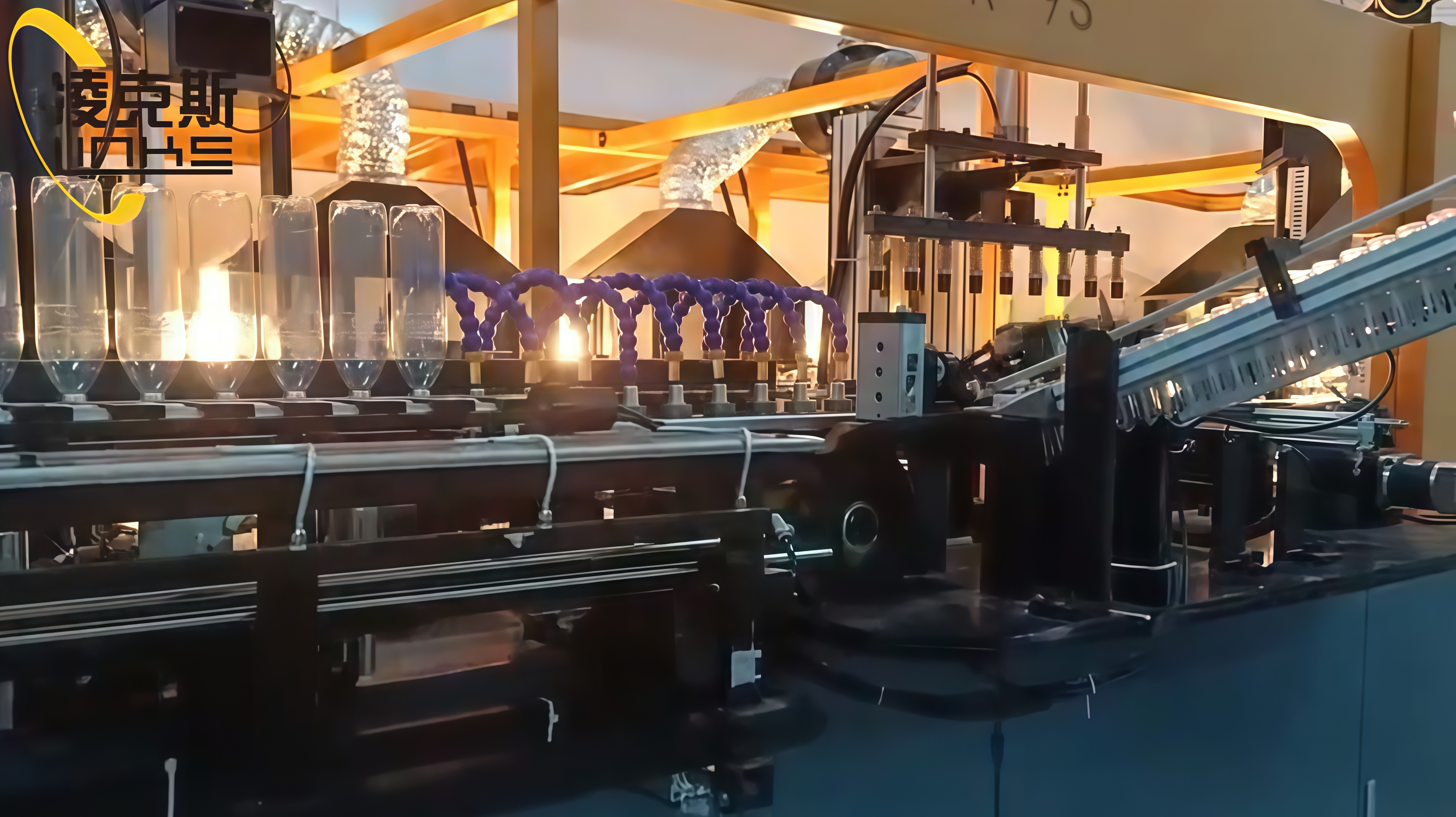 12000BPH Automatic Servo Type PET Bottle Blow Molding Machine