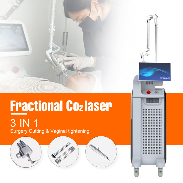 Comprehensive Training and Support Infrastructure