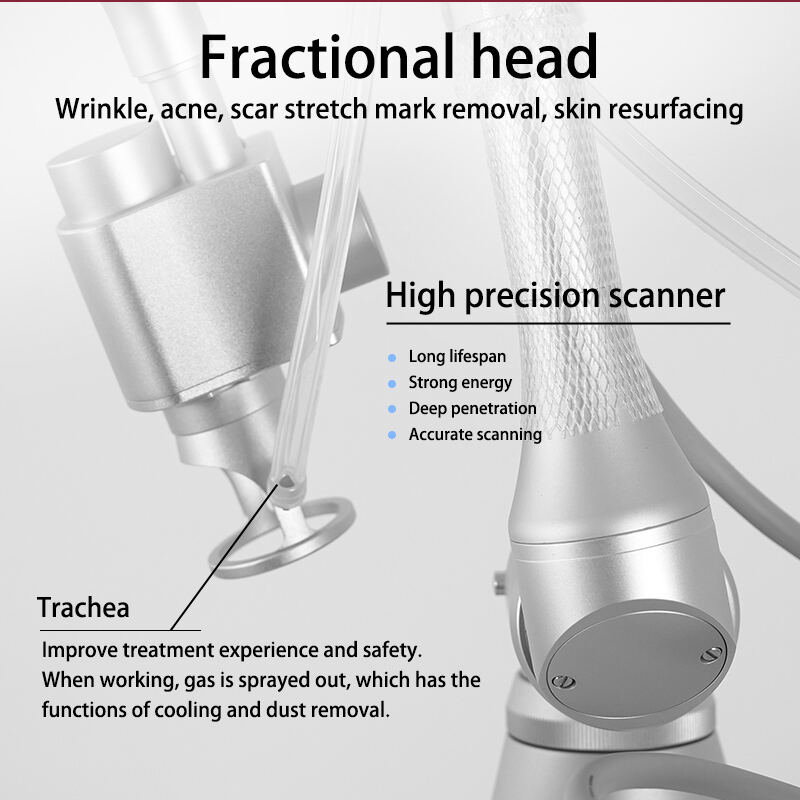 Comprehensive Training and Support Systems