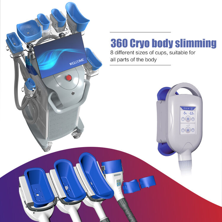 Umfassendes Schulungs- und Support-Ökosystem