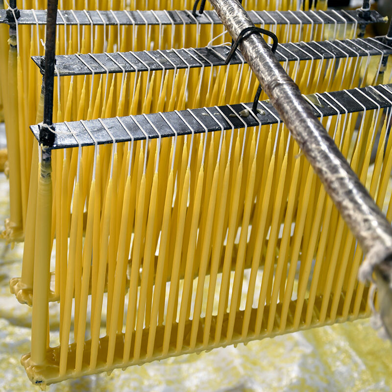 Commitment to Sustainability and Ethical Practices