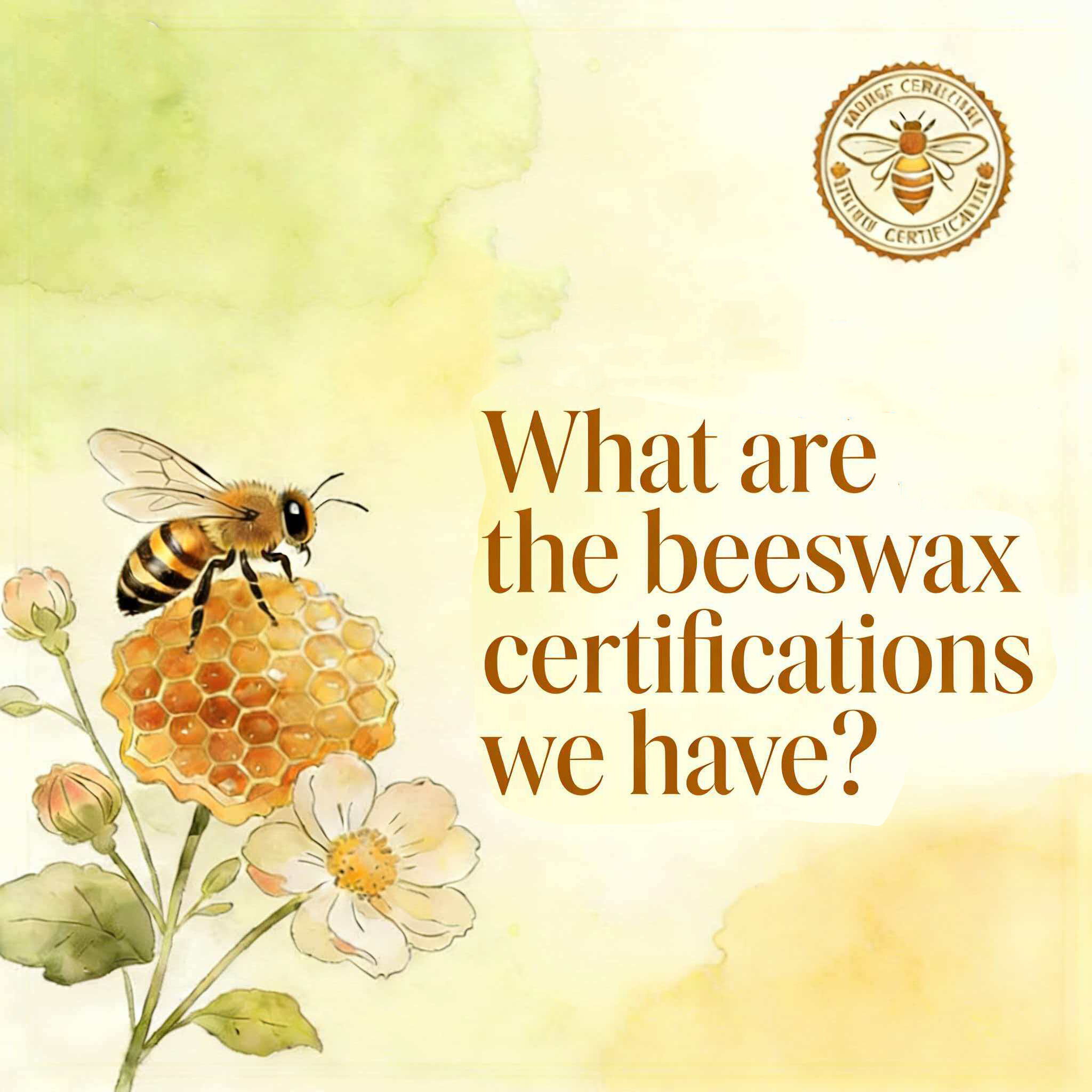 За пределами пламени: понимание чистоты и сертификатов нашего пчелиного воска