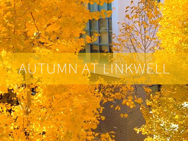 Un vistazo al oro: Otoño en Linkwell