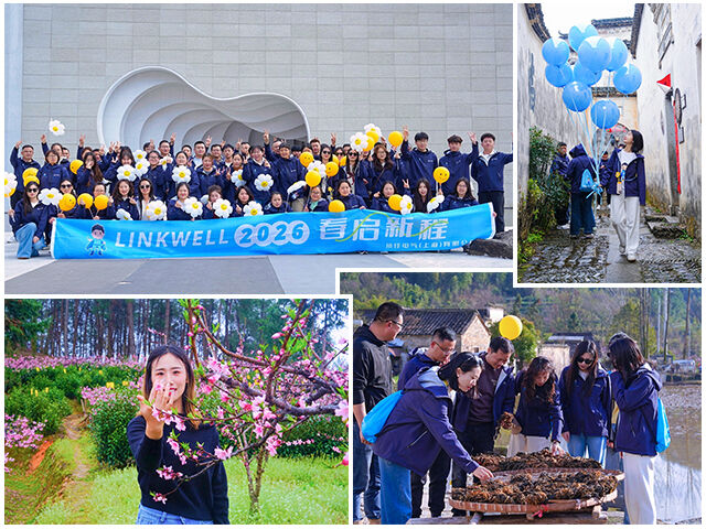 Equipo de LINKWELL: Una jornada de team building a través de la cultura y la naturaleza