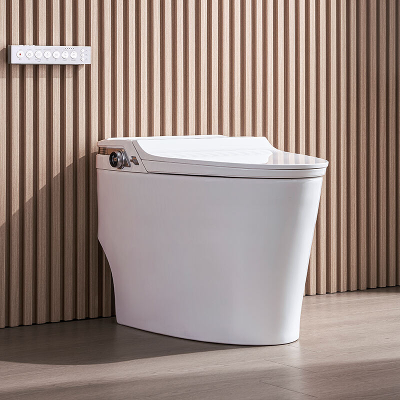 Siphonic Flushing Floor-standing Smart Toilet AKB1520