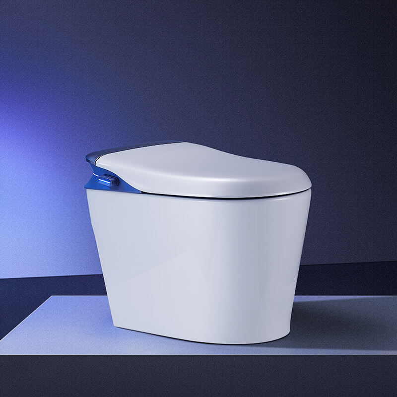 Creative & Elegant Design Floor-standing Smart Toilet AKB1332