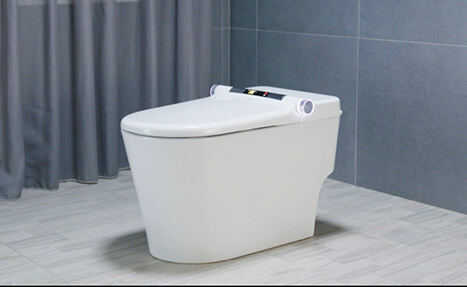 Faenza Smart Toilet