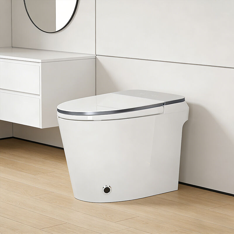 বাথরুমের লাক্সারি সেন্সর-চালিত ইলেকট্রিক অটোমেটিক ফ্লাশ ওয়াইসি বিডেট, সিরামিক ফ্লোর মনোপিস ইন্টেলিজেন্ট স্মার্ট টয়লেট বাউল, সিইউপিসি এবং ইটিএল সার্টিফায়েড