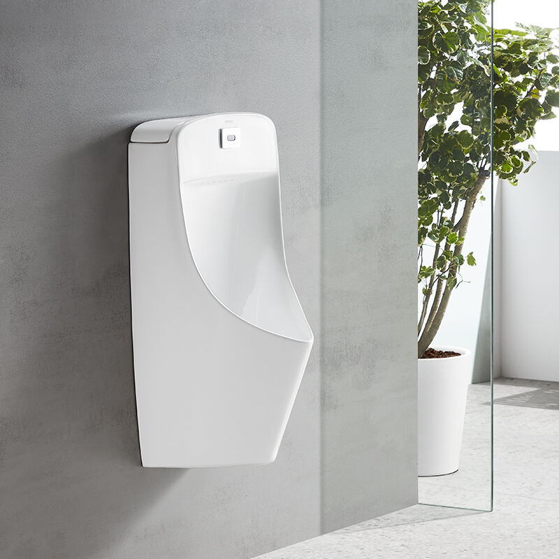 Wall-hung White Ceramic Urinal Bowl For Toilet AN636