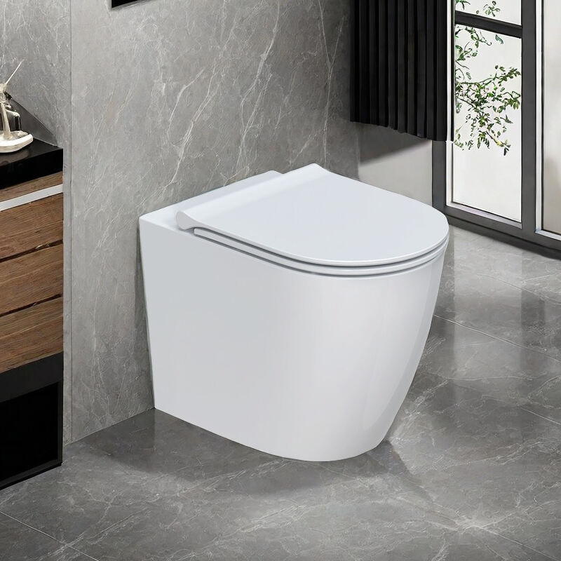 Floor-standing Toilet European Pan Shape with Elegant Design Back-to-wall installation AHB2333H