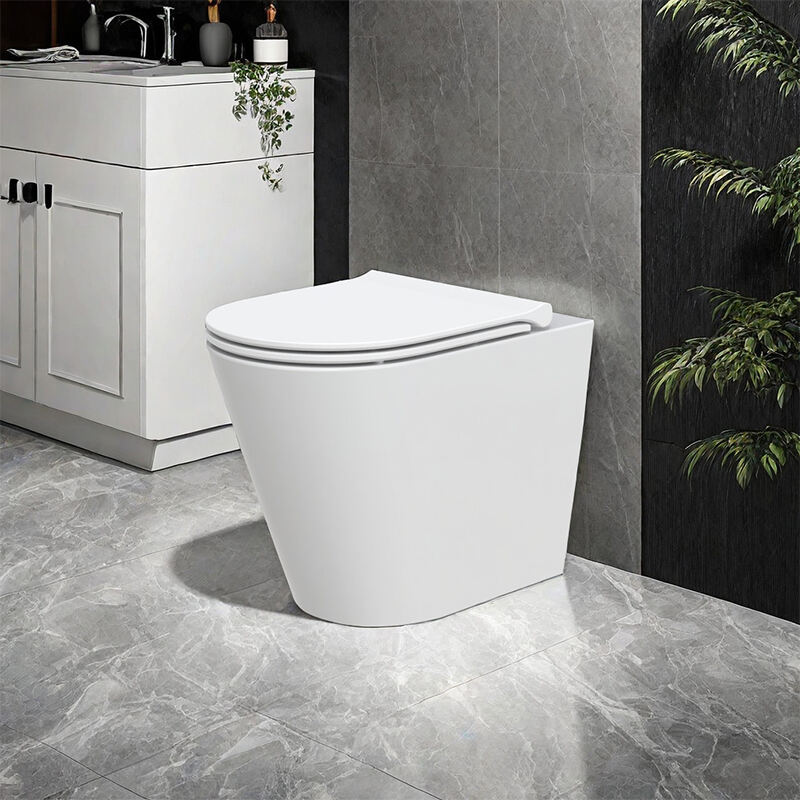 Floor-standing Toilet Back-to-wall Installation AHB2334H