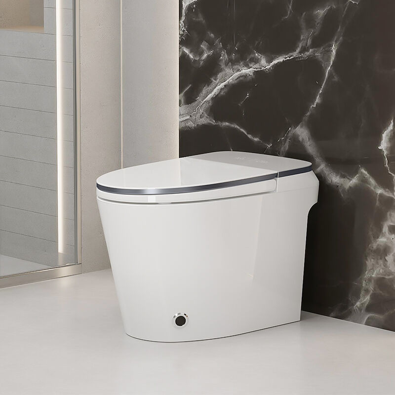 বাথরুমের লাক্সারি সেন্সর-চালিত ইলেকট্রিক অটোমেটিক ফ্লাশ ওয়াইসি বিডেট, সিরামিক ফ্লোর মনোপিস ইন্টেলিজেন্ট স্মার্ট টয়লেট বাউল, সিইউপিসি এবং ইটিএল সার্টিফায়েড