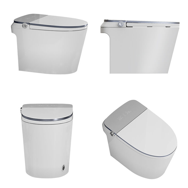 বাথরুমের লাক্সারি সেন্সর-চালিত ইলেকট্রিক অটোমেটিক ফ্লাশ ওয়াইসি বিডেট, সিরামিক ফ্লোর মনোপিস ইন্টেলিজেন্ট স্মার্ট টয়লেট বাউল, সিইউপিসি এবং ইটিএল সার্টিফায়েড