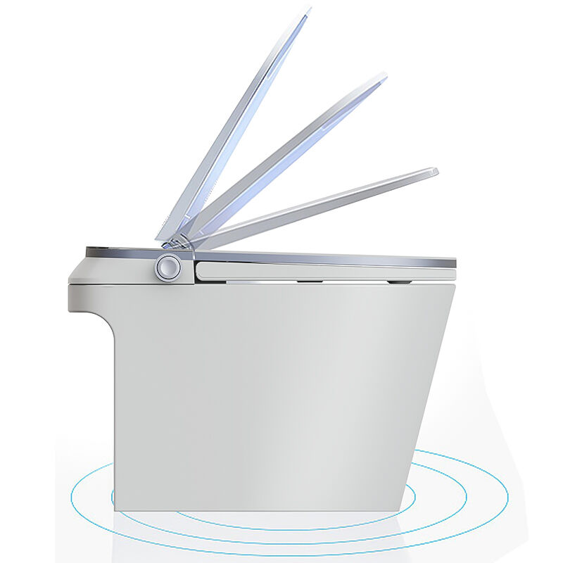 বাথরুমের লাক্সারি সেন্সর-চালিত ইলেকট্রিক অটোমেটিক ফ্লাশ ওয়াইসি বিডেট, সিরামিক ফ্লোর মনোপিস ইন্টেলিজেন্ট স্মার্ট টয়লেট বাউল, সিইউপিসি এবং ইটিএল সার্টিফায়েড