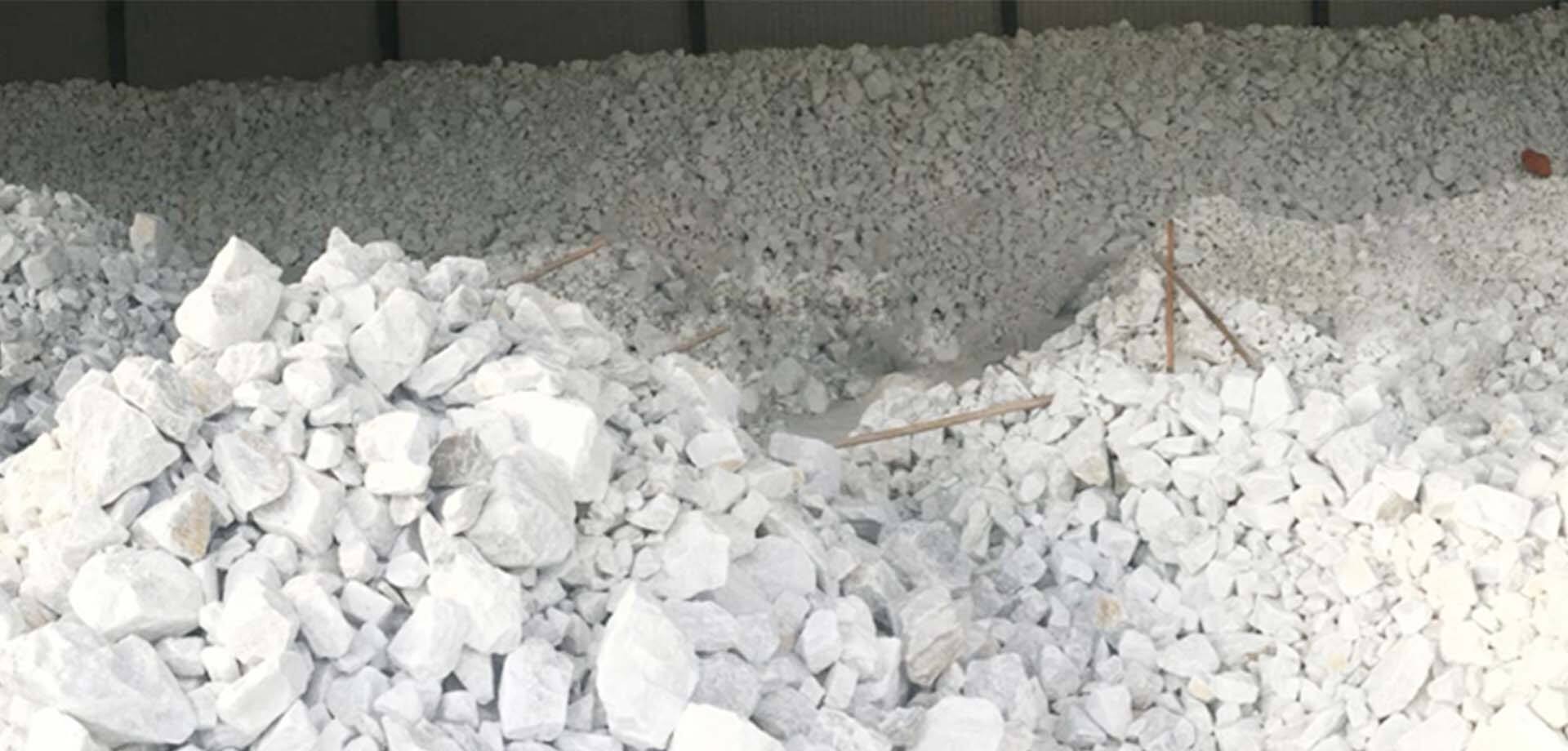 Plant of titanium dioxide