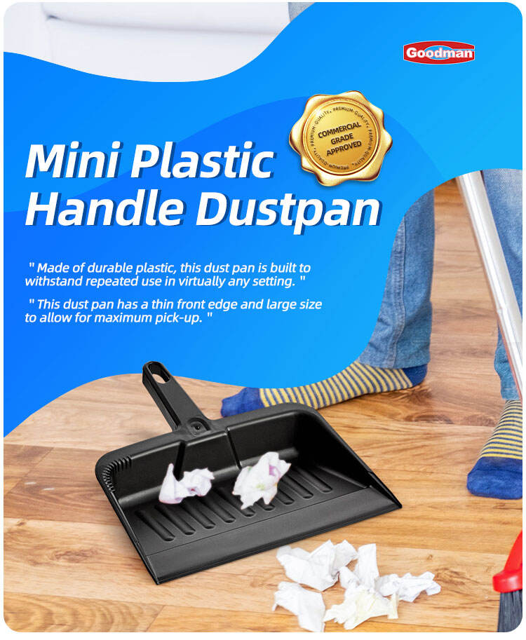 mini dustpan (1).jpg