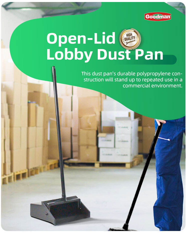 plastic dustpan (1).jpg