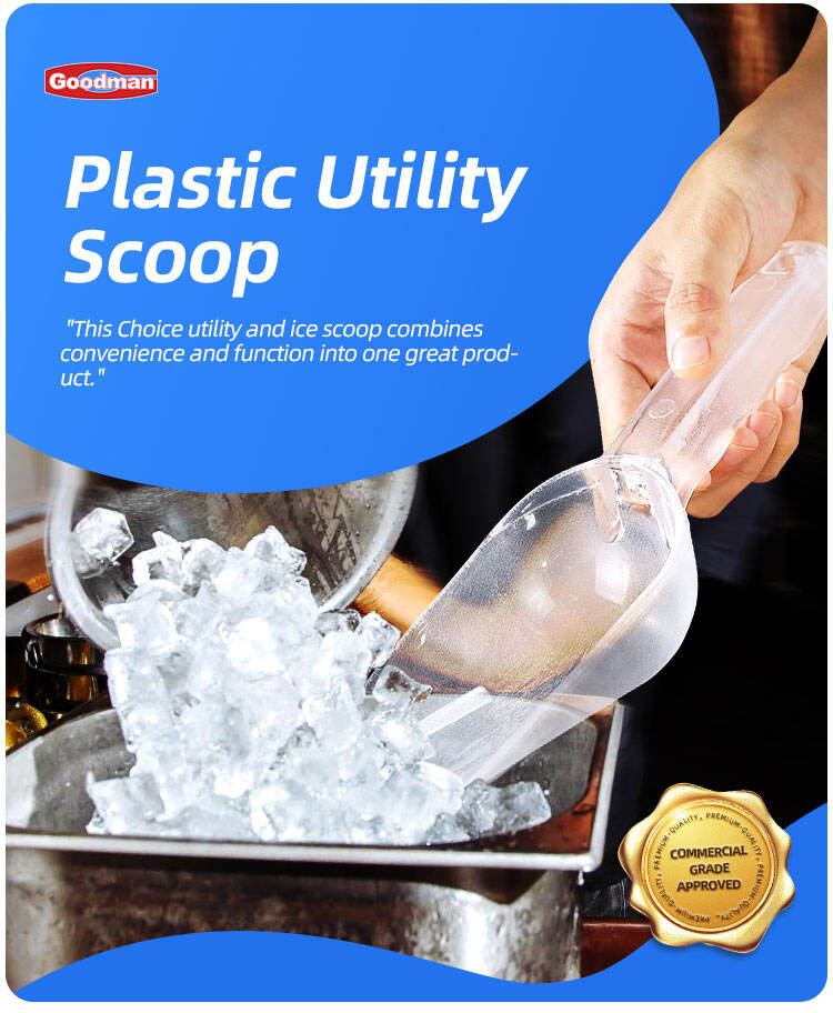 BA3027 ice scoop (1).jpg
