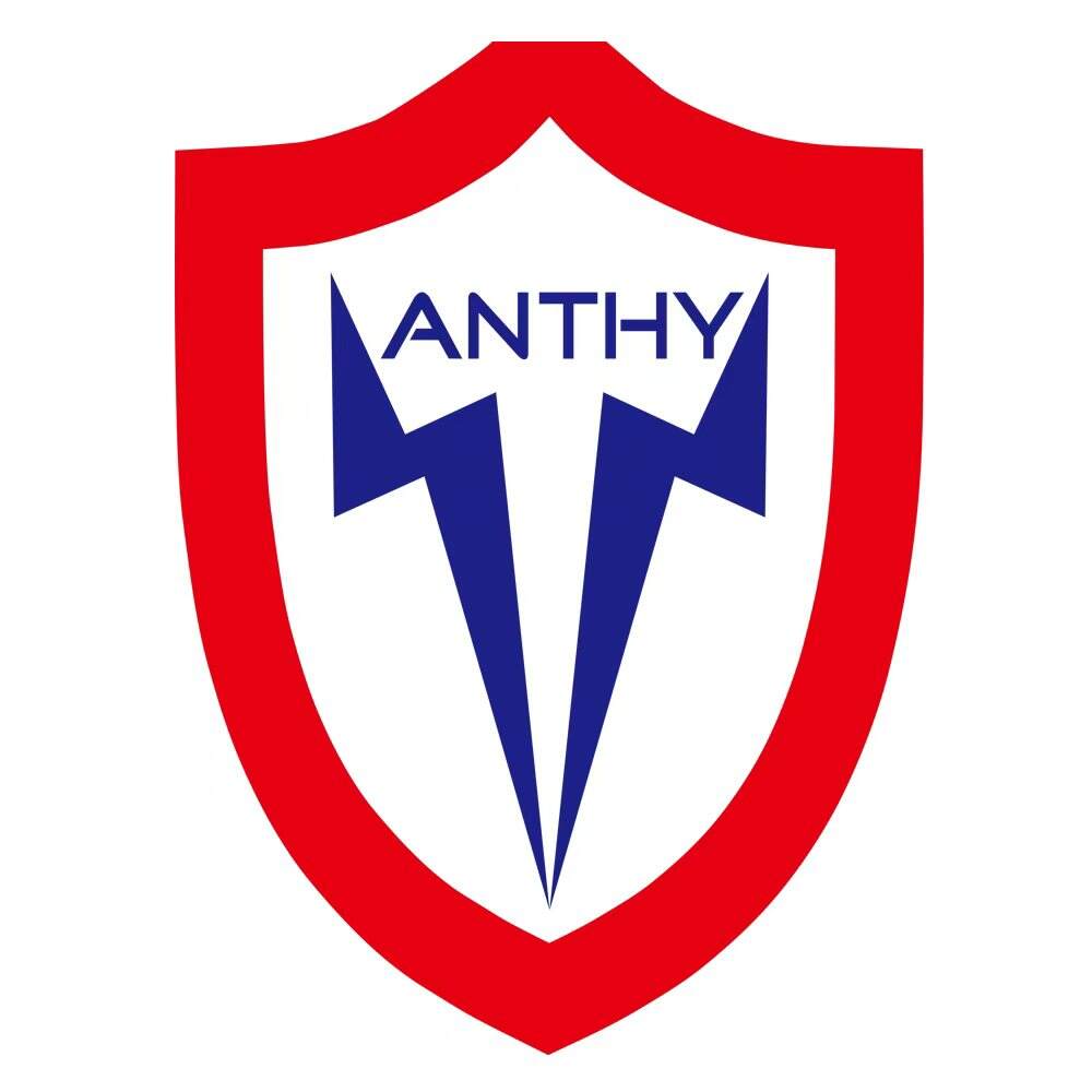 Shenzhen Anthy Electronics Co., Ltd.