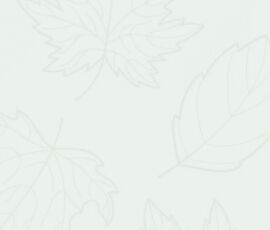 Construction Site Safety Gear