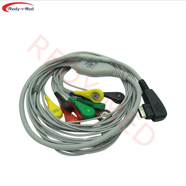Compatibel met DMS 300-3A 300-4A 300-4L 10-aders Holter-kabel
