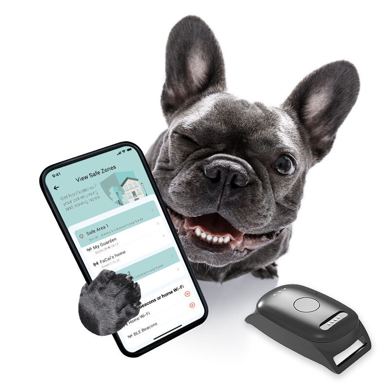 Eview GPS Platform Lets You Track Pets from Anywhere