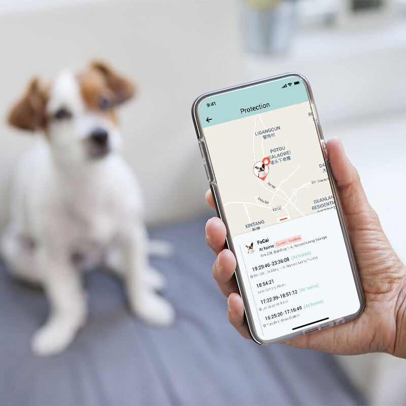 Monitor Pet Location with Eview GPS Online Tracking Platform