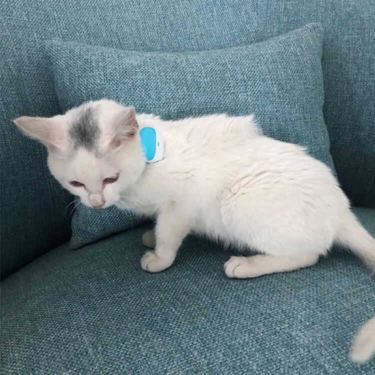 Komplexní systém monitorování zdraví a aktivity