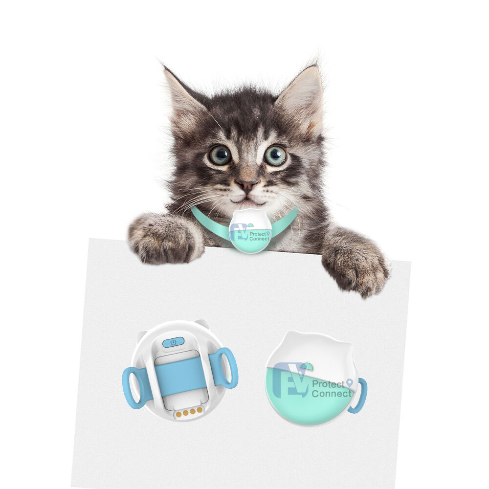 Comprehensive Health and Activity Monitoring