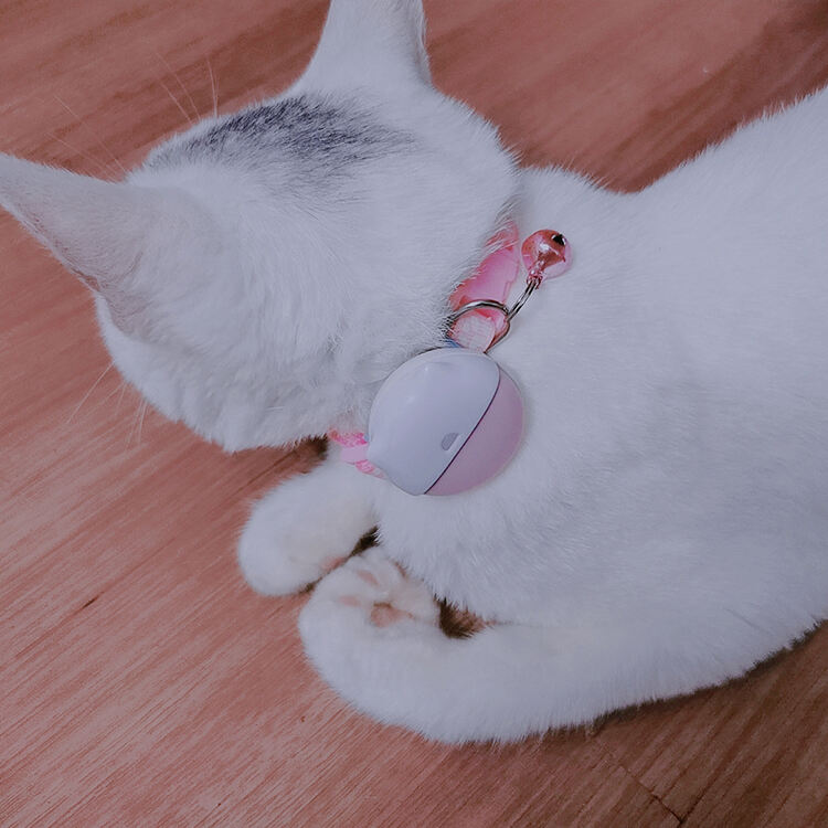 Komplexní integrace monitorování zdraví a aktivity