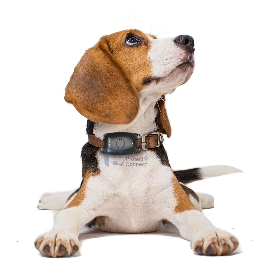 Pokročilá technologie reálného lokalizačního sledování s vícesít'ovým připojením