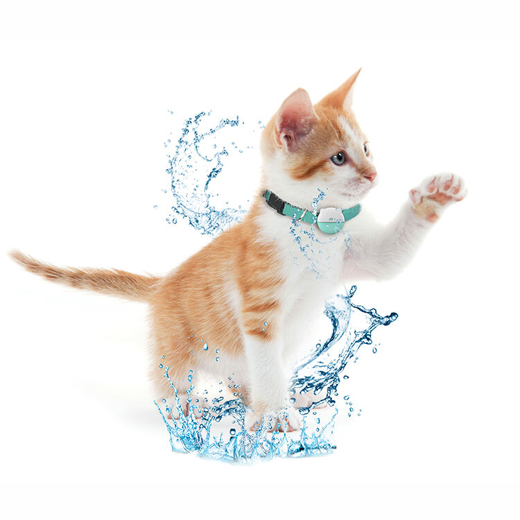 Intelligent Geofencing and Customizable Alert Systems