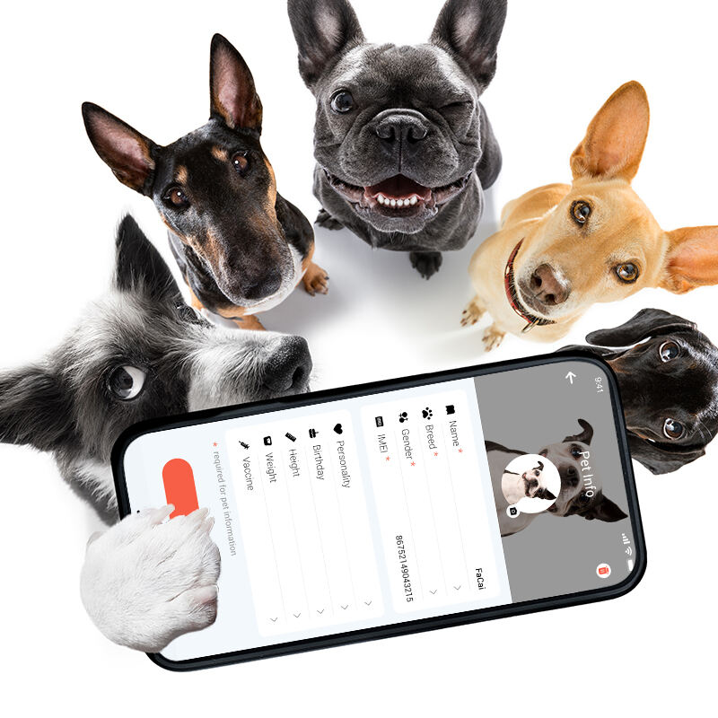 Eview GPS Online Platform Provides Instant Location Updates for Pets