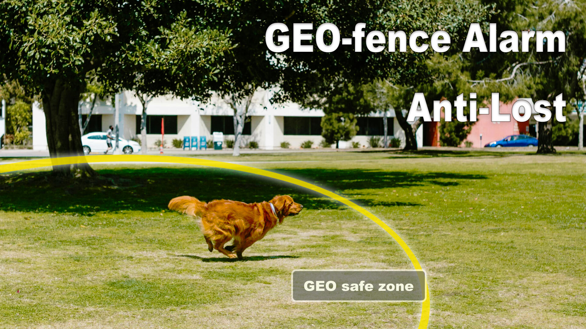 Does your device support eSIM? 