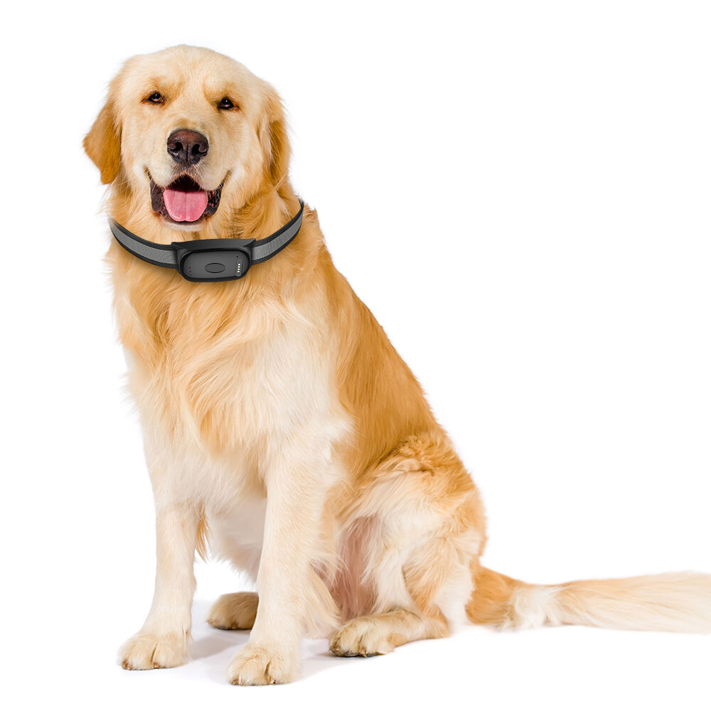 Tecnología GPS avanzada con resistencia al agua sin compromisos