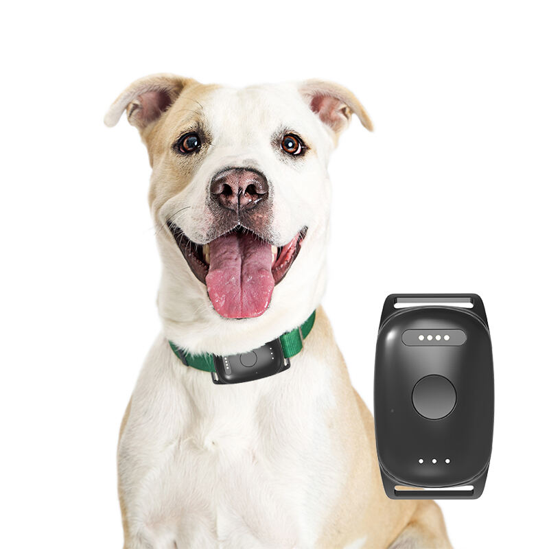 Eview GPS Dog Tracker with Real-Time 4G GPS Locator and Geo-fencing