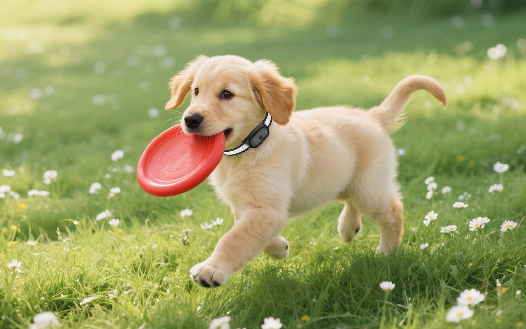 Intelligent Alert System with Customizable Safety Features