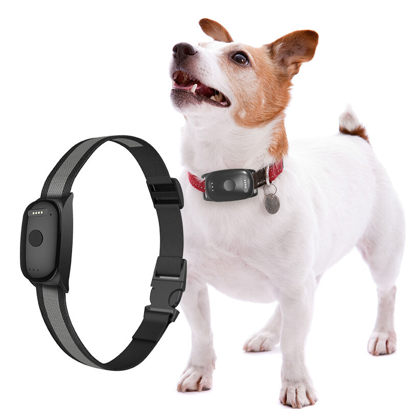 Eview GPS 4G Pet Locator for Dogs with Geo-Fencing and Real-Time Alerts