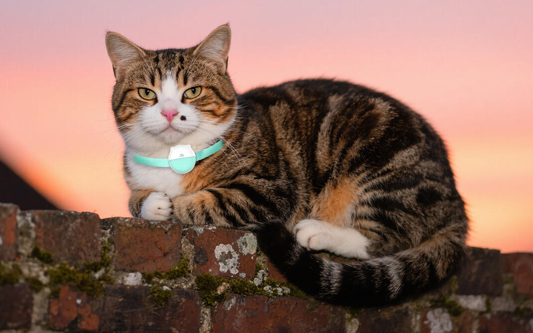 Comprehensive Health and Activity Monitoring